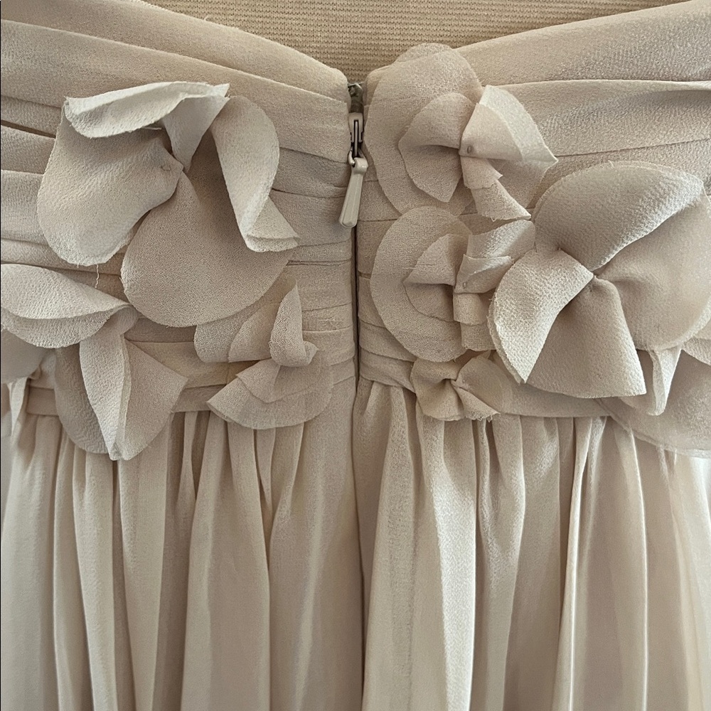 Bill Levkoff Nude/Cream Fit Flare Chiffon Dress w/Pleats & Floral Detail Size 16 - Picture 10 of 16